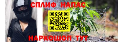 гашик Будённовск