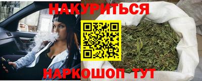 гашик Будённовск