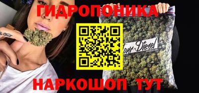 гашик Будённовск