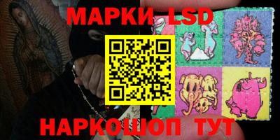 гашик Будённовск