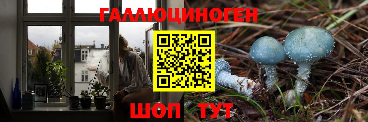 Янаул  Псилоцибиновые грибы MAGIC MUSHROOMS  Вход с VPN  наркошоп  Псилоцибиновые грибы ЛСД 